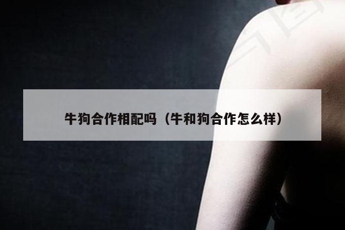 牛狗合作相配吗（牛和狗合作怎么样）
